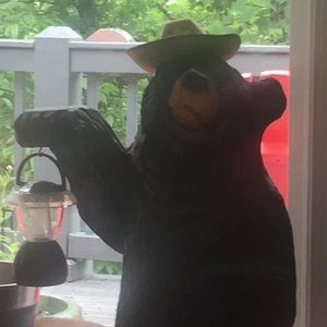 Meet your Posher, Heidi